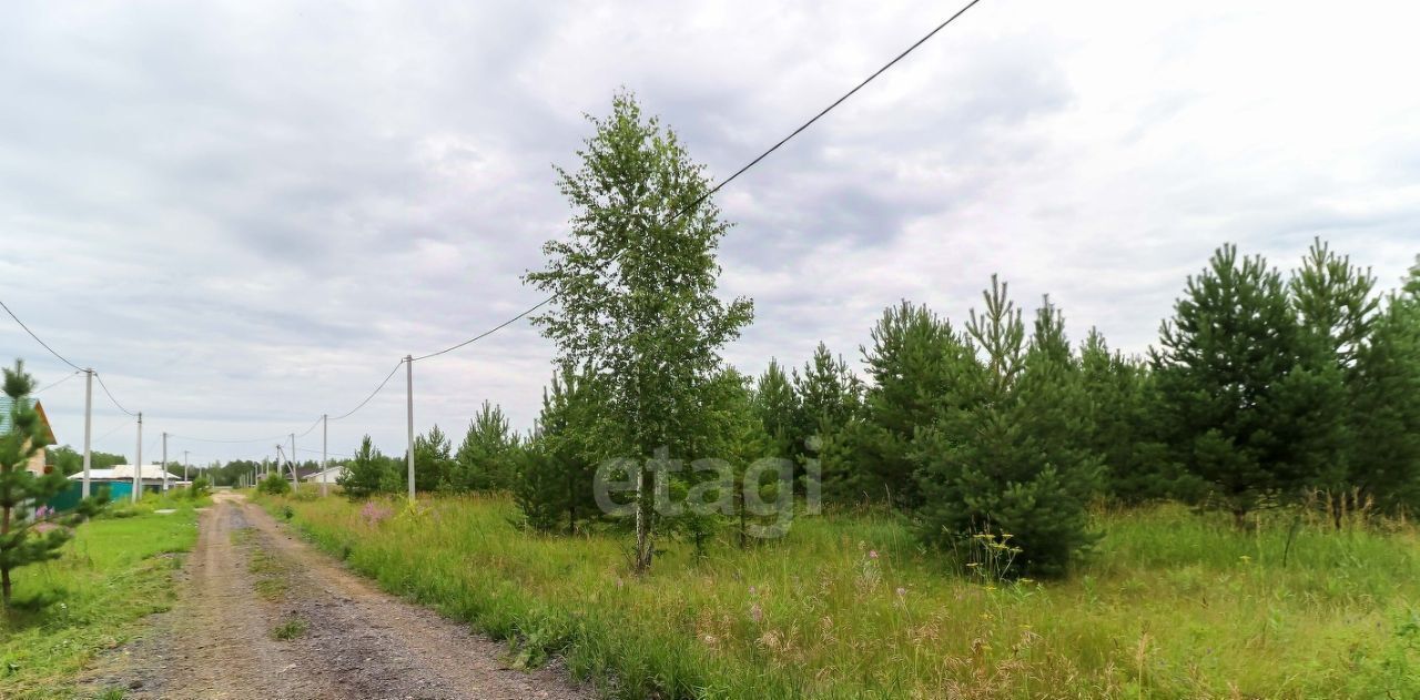 земля р-н Тюменский с Перевалово Васильково кп фото 14