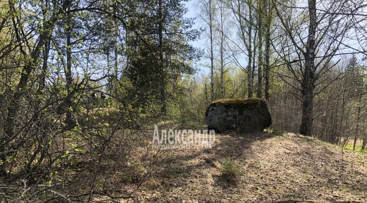 земля р-н Выборгский Селезневское с/пос, Селезневская тер., проезд Светлый фото 18