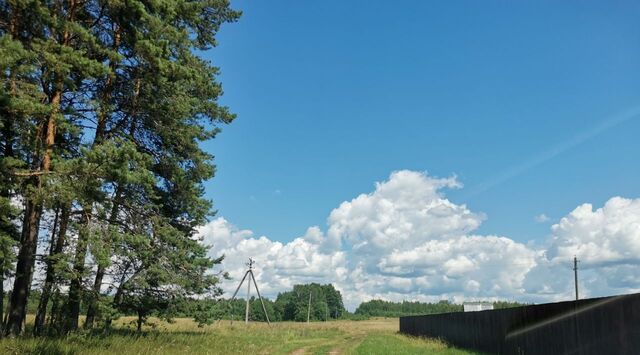 снт Раздолье Селижаровский муниципальный округ фото