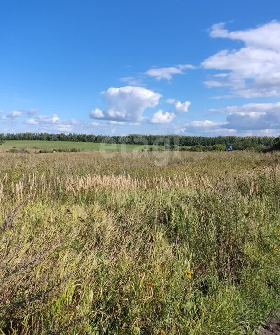 земля р-н Мокшанский с Рамзай сельсовет, Рамзайский фото 7