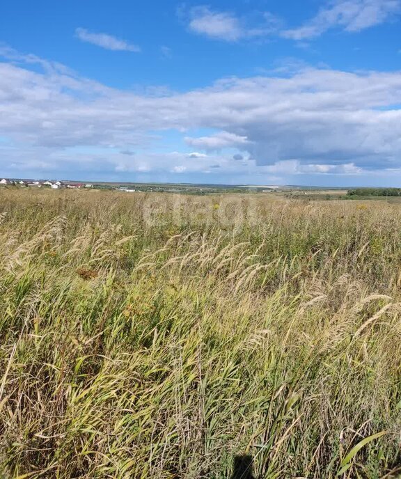 земля р-н Мокшанский с Рамзай сельсовет, Рамзайский фото 2