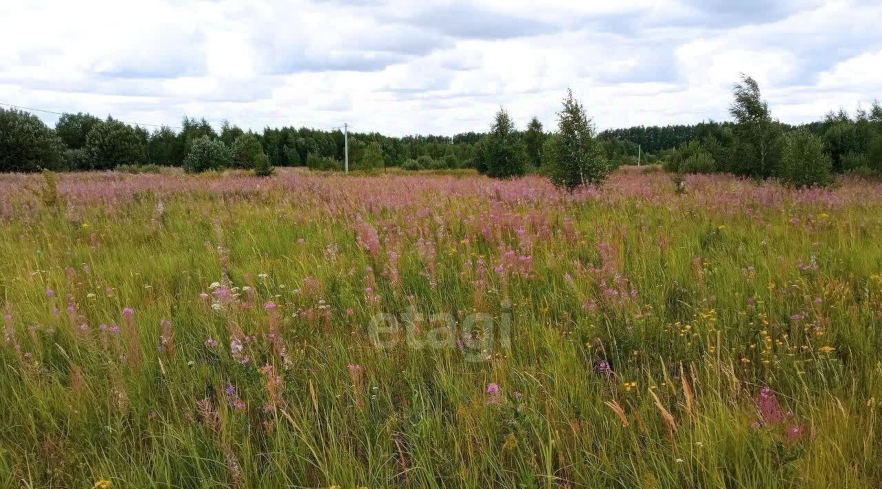 земля р-н Старомайнский рп Старая Майна ул Самарская фото 3