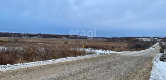 земля г Благовещенск фото