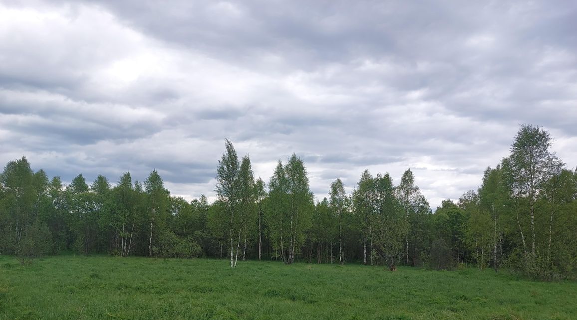 офис городской округ Наро-Фоминский д Новоалександровка фото 1