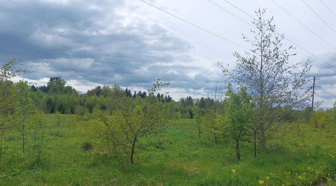 офис городской округ Наро-Фоминский г Верея фото 2