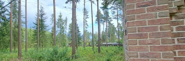 земля п Ганино Рощинское городское поселение фото