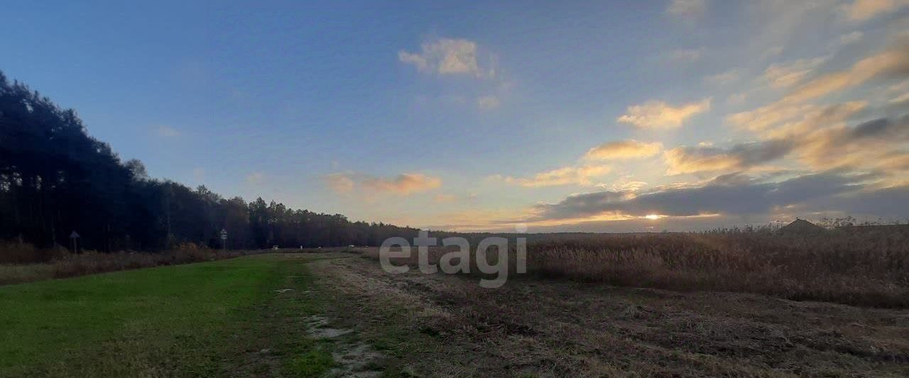 земля г Светлый п Люблино Светловский городской округ фото 14