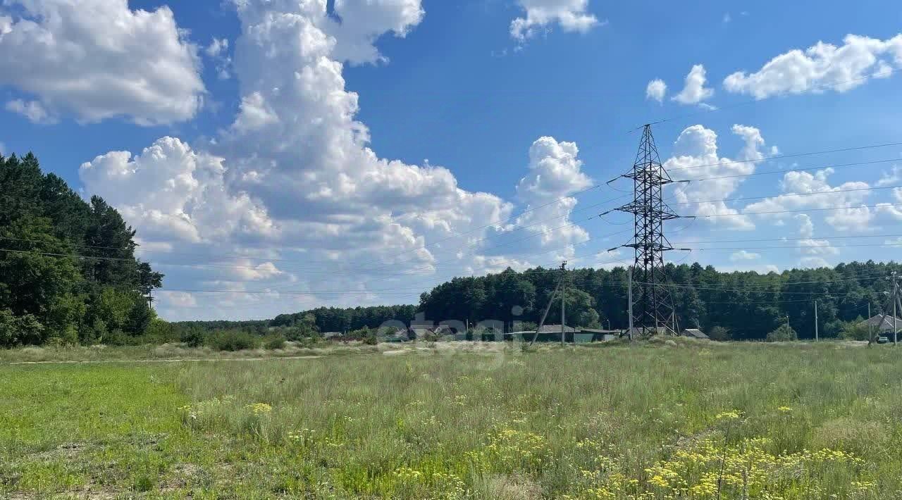 земля р-н Старооскольский с Каплино ул. Триумфальная, Старооскольский городской округ фото 6