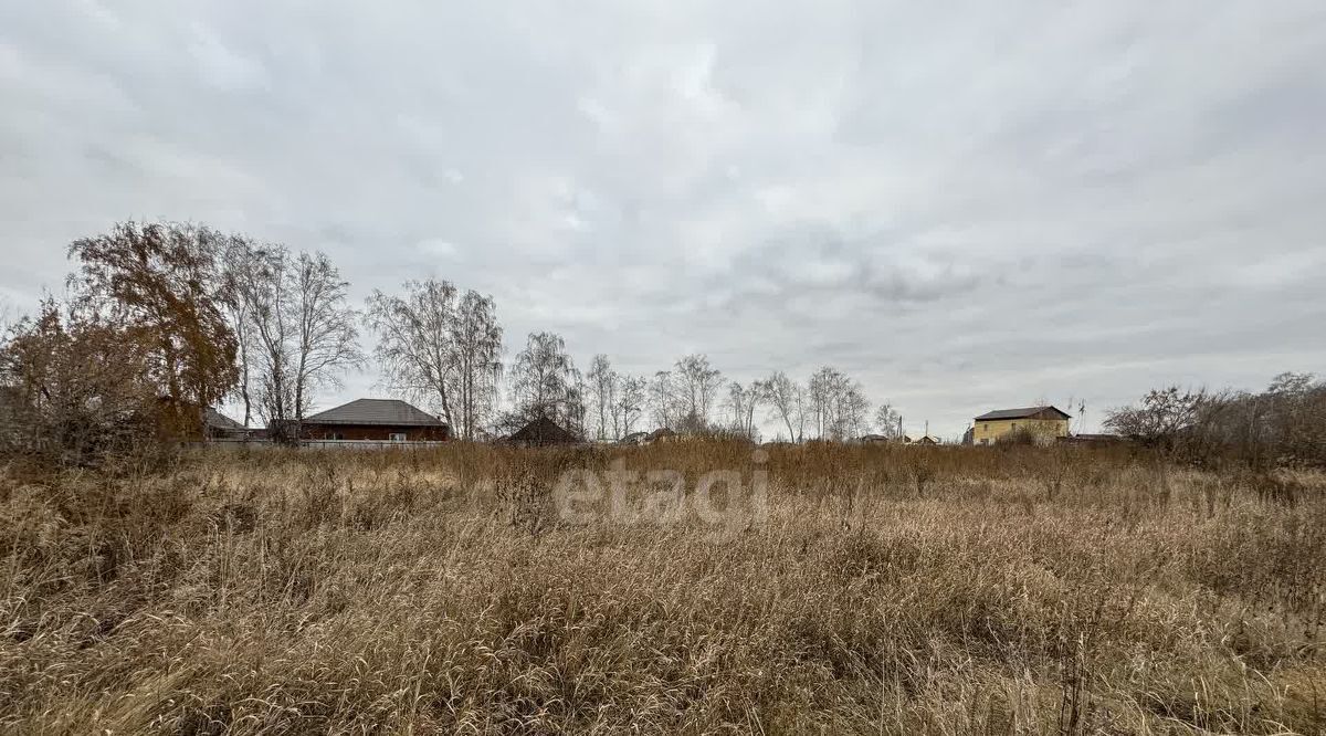 земля р-н Омский п Новоомский фото 4