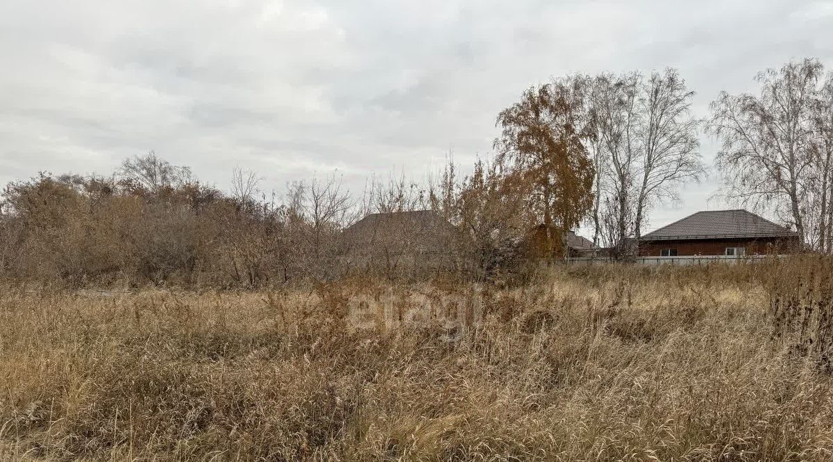 земля р-н Омский п Новоомский фото 5