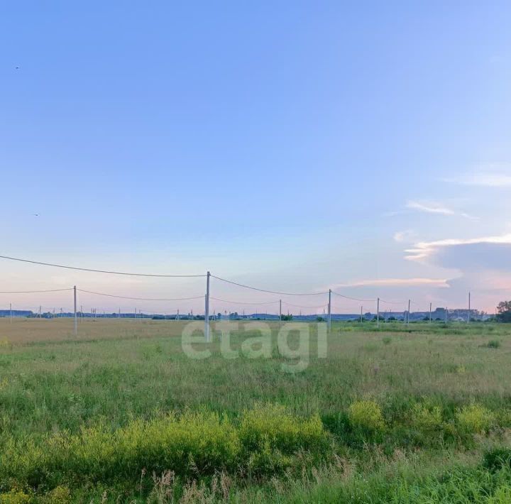 земля р-н Ишимский с Гагарино фото 14