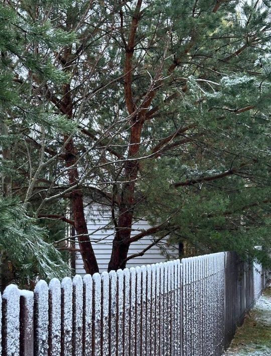 дом городской округ Можайский Маяк кп фото 23