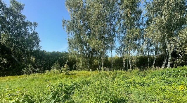 городской округ Солнечногорск д Благовещенка Химки городской округ фото