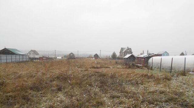 городской округ Шаховская д Дор фото