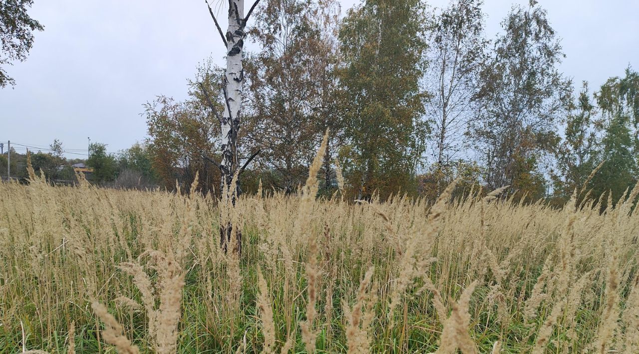 офис городской округ Раменский д Кулаково фото 3