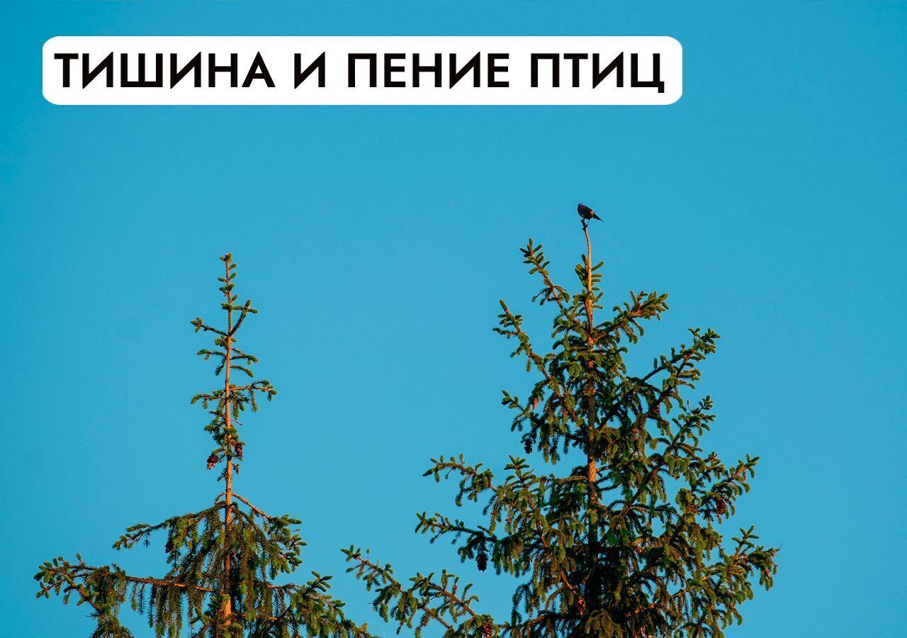 земля городской округ Истра п Полевшина 36 км, Истра, Волоколамское шоссе фото 33