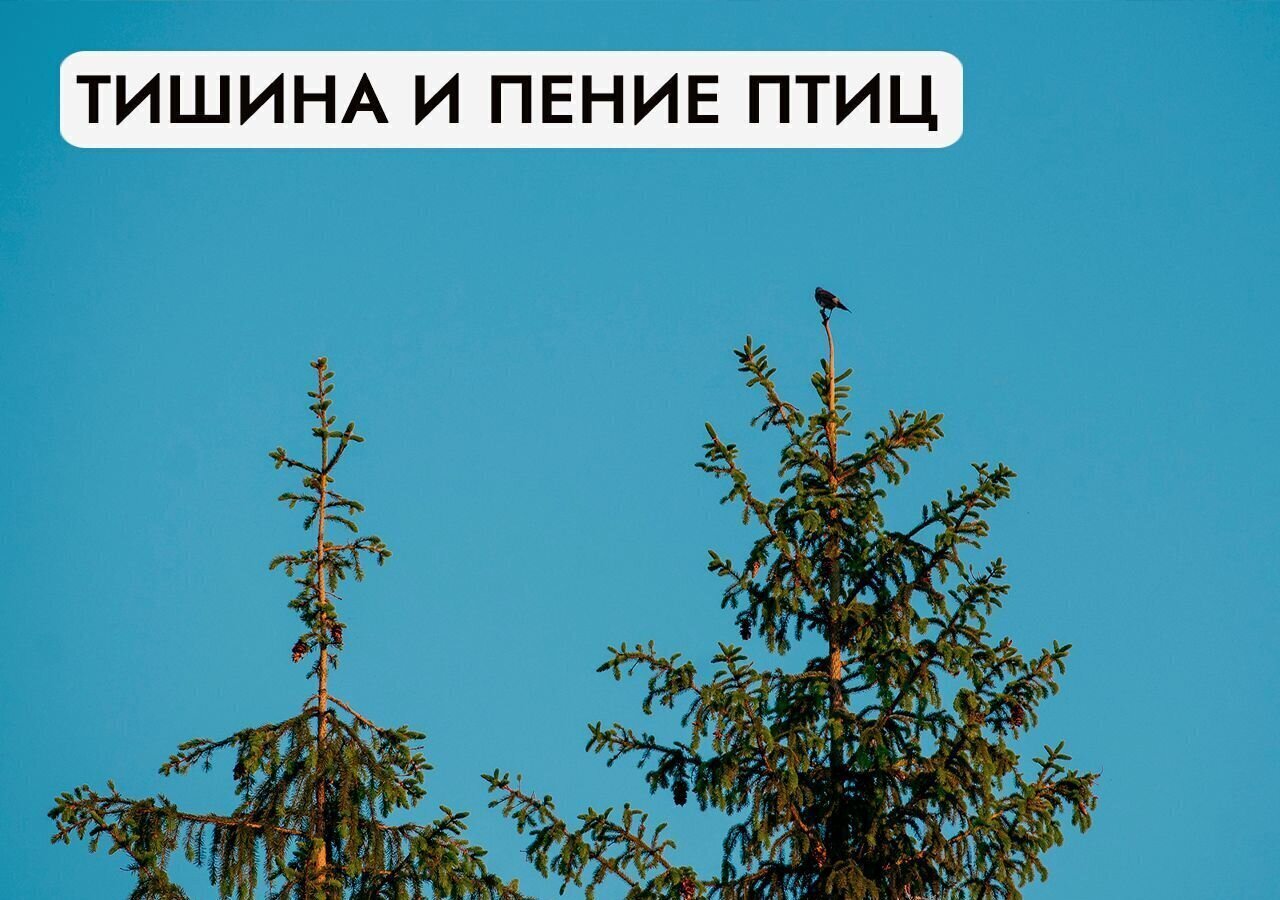 земля городской округ Солнечногорск д Бережки 45 км, Солнечногорск, Пятницкое шоссе фото 33