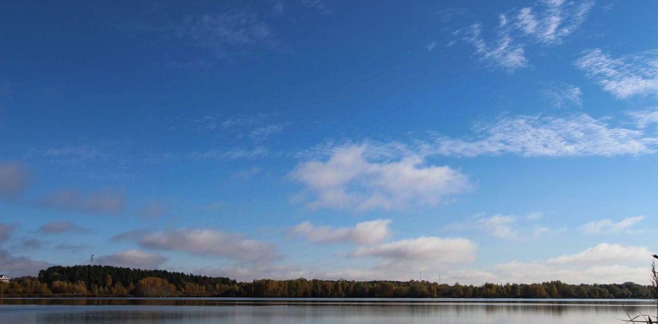 земля городской округ Богородский Богородск Форест кп фото 5