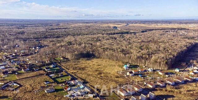 Ропшинское шоссе, 2 км, Низинское сельское поселение, Санкт-Петербург, Петергоф фото