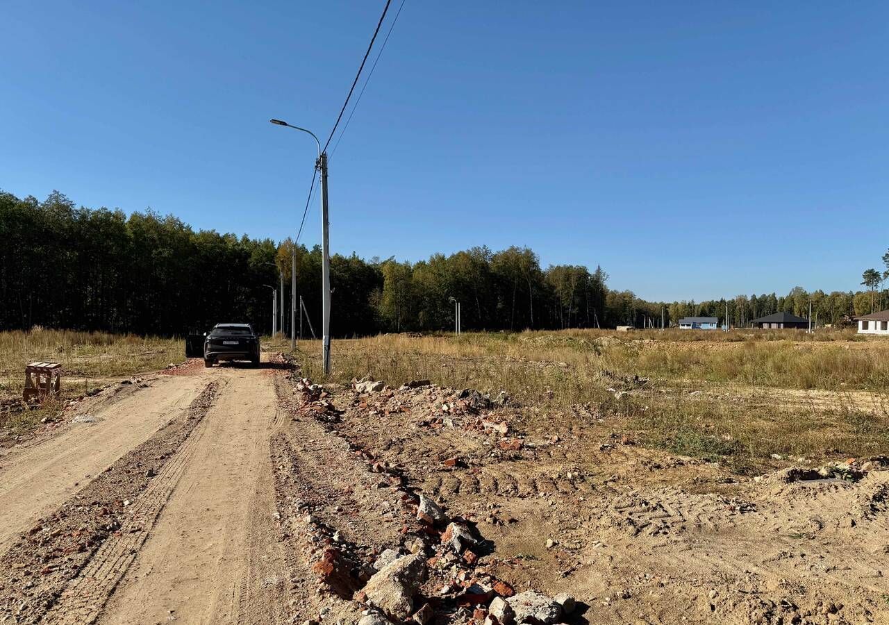 земля направление Горьковское (восток) ш Носовихинское 9738 км, территория СНТ Заря, Балашиха фото 6