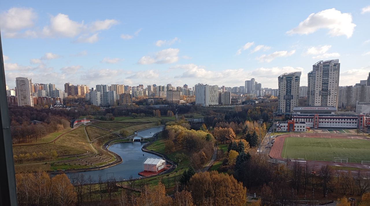 квартира г Москва метро Мичуринский проспект пр-кт Мичуринский пр-кт Олимпийский 1к/1 деревня фото 2