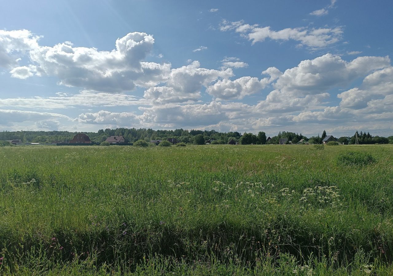 земля р-н Новгородский д Вашково ул Видогощская Ермолинское сельское поселение, Панковка фото 3