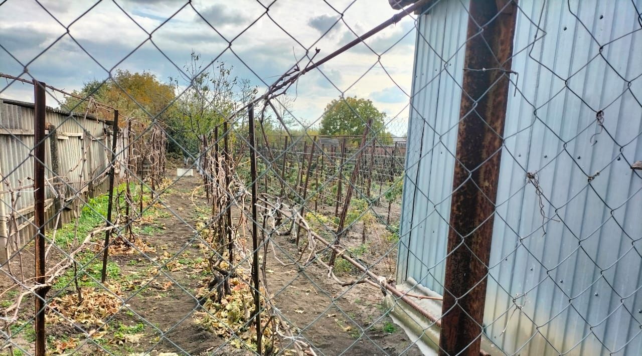 земля р-н Калининский ст-ца Старовеличковская ул Юго-Восточная Старовеличковское с/пос фото 5