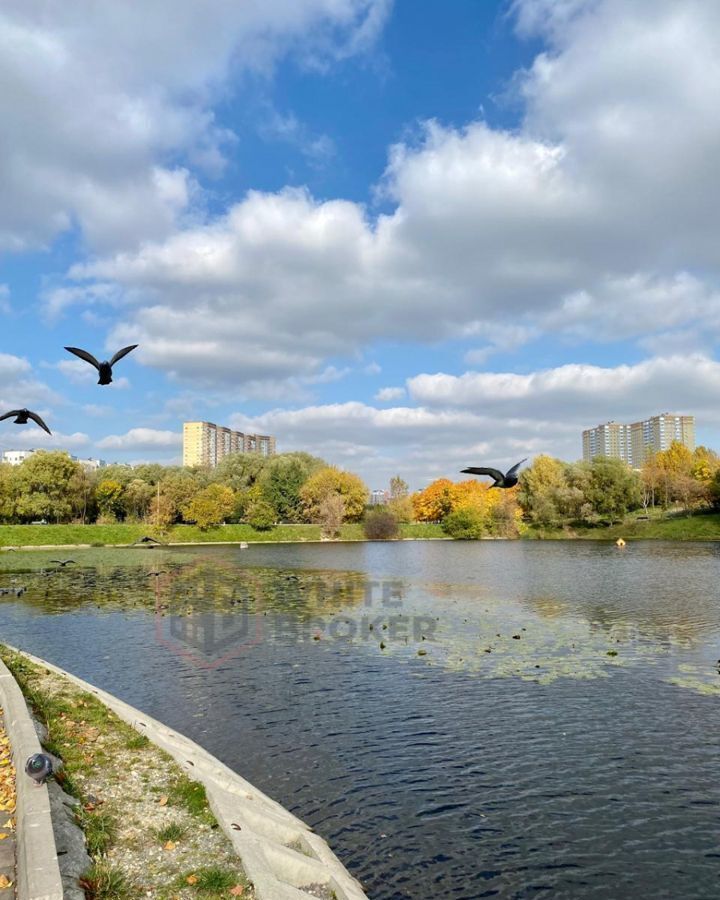 квартира г Москва метро Озерная ул Озёрная 9 фото 21