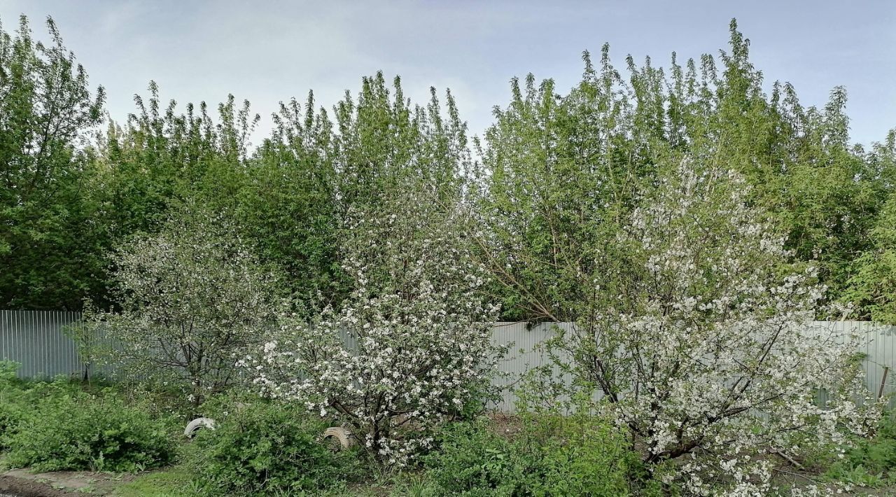 дом р-н Саратовский рп Соколовый ул Танкистская фото 4