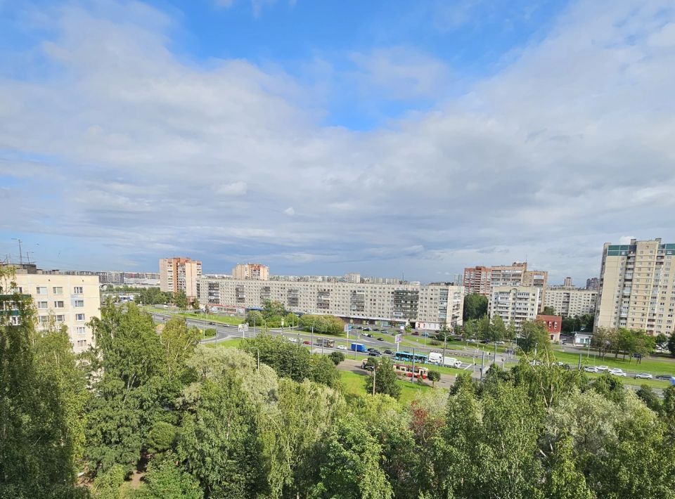 квартира г Санкт-Петербург метро Проспект Просвещения пр-кт Культуры 24к/1 округ № 15 фото 4