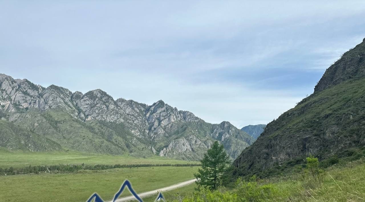 земля р-н Чемальский с Куюс ул Центральная Куюсское сельское поселение фото 2