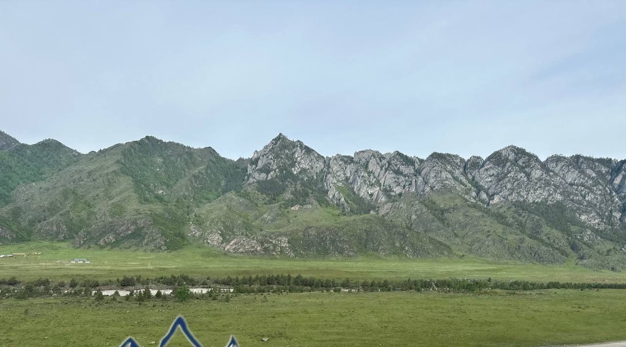 земля р-н Чемальский с Куюс ул Центральная Куюсское сельское поселение фото 4