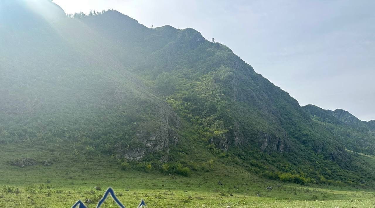 земля р-н Чемальский с Куюс ул Центральная Куюсское сельское поселение фото 5