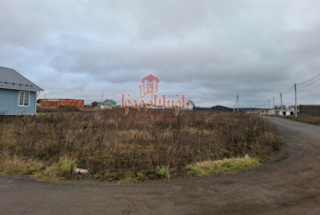 земля городской округ Дмитровский д Минеево Лобня фото 1