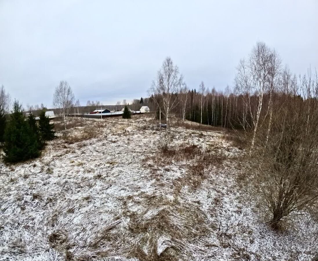 земля городской округ Клин г Высоковск 68 км, коттеджный пос. Подсолнухи, Цветочная ул, г. о. Клин, Ленинградское шоссе фото 3