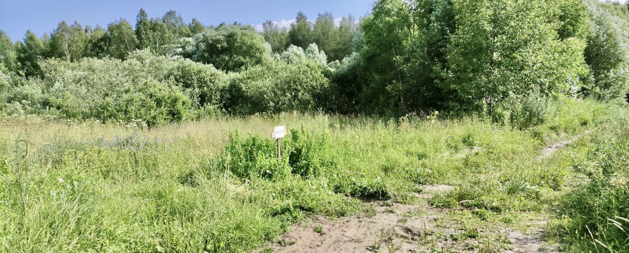 земля городской округ Орехово-Зуевский д Малая Дубна 71 км, Орехово-Зуево, Горьковское шоссе фото 1