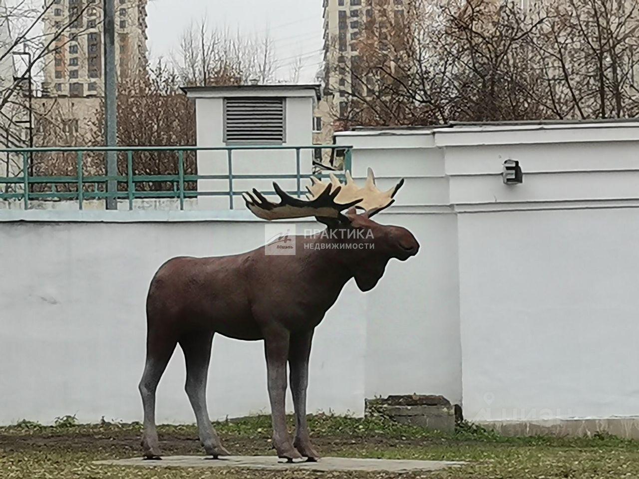 квартира г Москва ВАО Метрогородок ш Открытое 26/10 Московская область фото 12