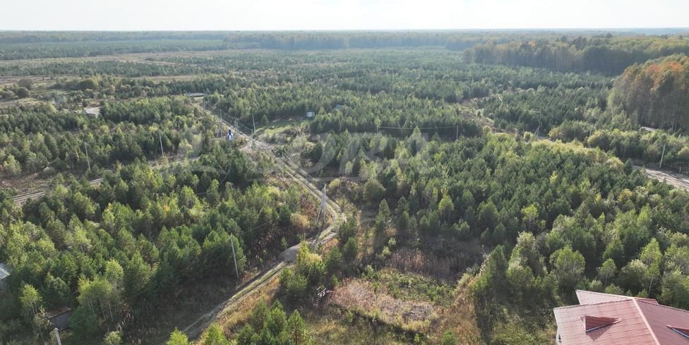 земля р-н Нижнетавдинский д Московка Косая линия, Тюмень фото 2