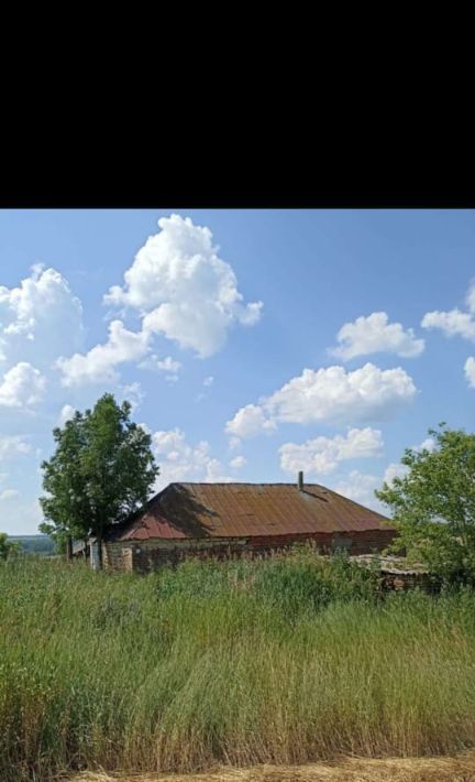 земля р-н Задонский с Ксизово ул Польша Ксизовский сельсовет фото 1