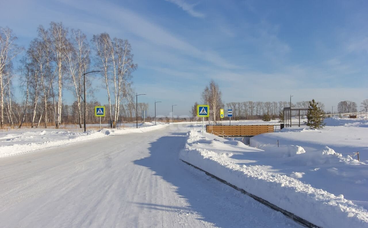 дом р-н Новосибирский с Верх-Тула Верх-Тулинский сельсовет, Экопосёлок-парк Сибирские просторы, Шестая ул., 37 фото 31