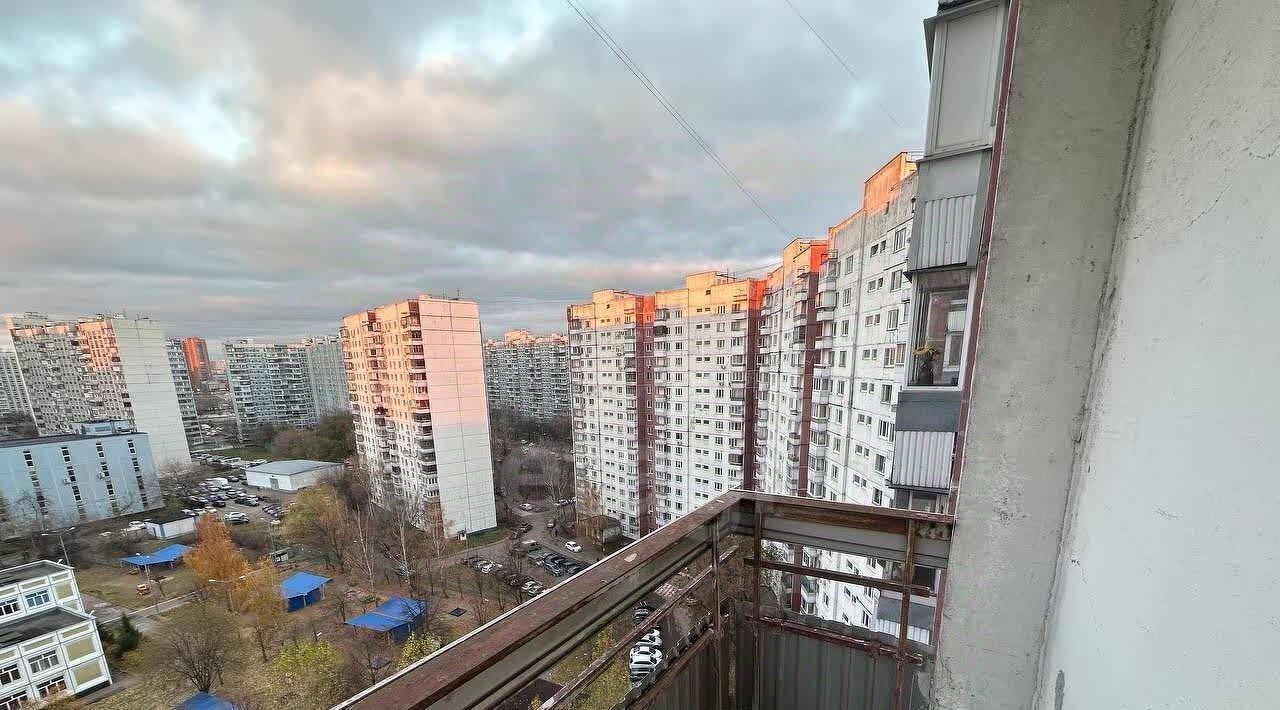 квартира г Москва метро Новокосино ул Салтыковская 15к/3 фото 19