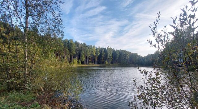 Морозовское городское поселение, Сады имени Володарского СНТ, 198 фото