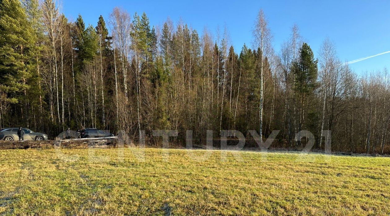 земля р-н Лодейнопольский Алеховщинское с/пос, с. Деревня Новое фото 10