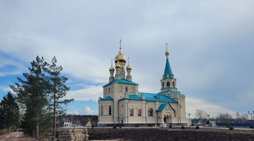 земля р-н Ломоносовский Лебяженское городское поселение, Коваши СНТ фото 9