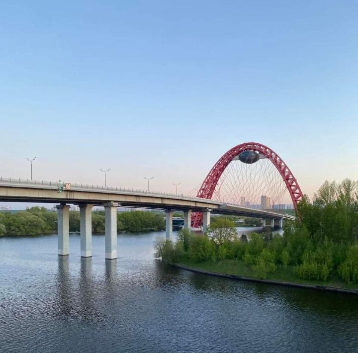 квартира г Москва метро Народное Ополчение ул Демьяна Бедного 2к/2 фото 8