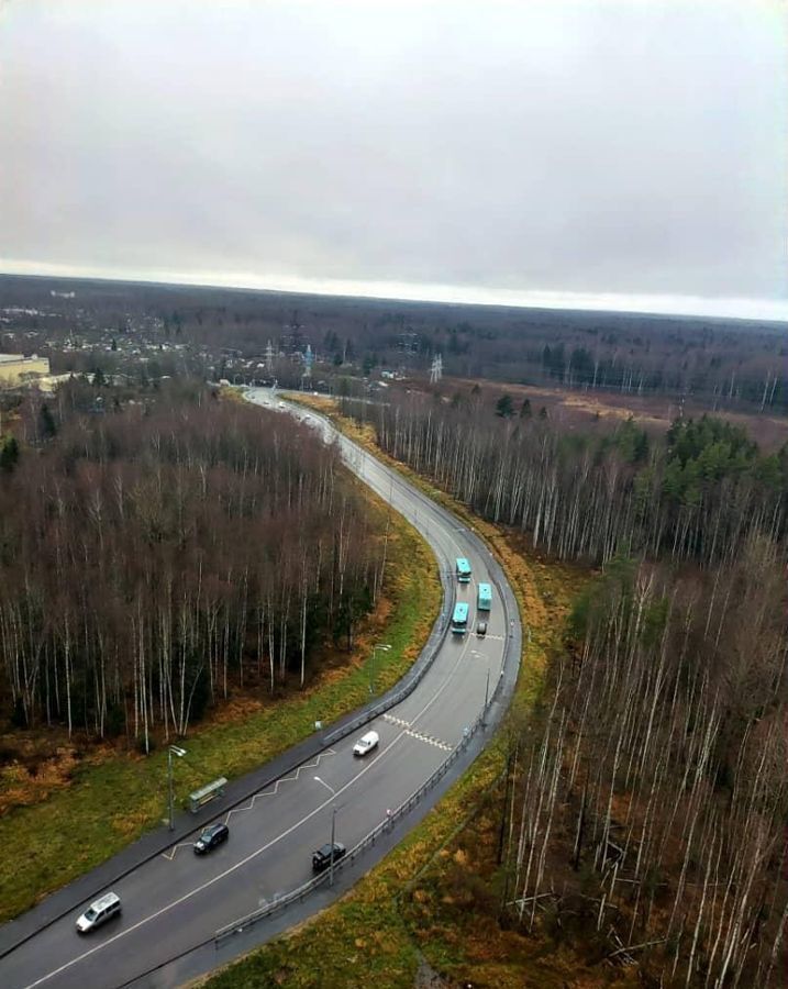 квартира г Санкт-Петербург р-н Приморский ул Ивинская 19к/1 фото 8