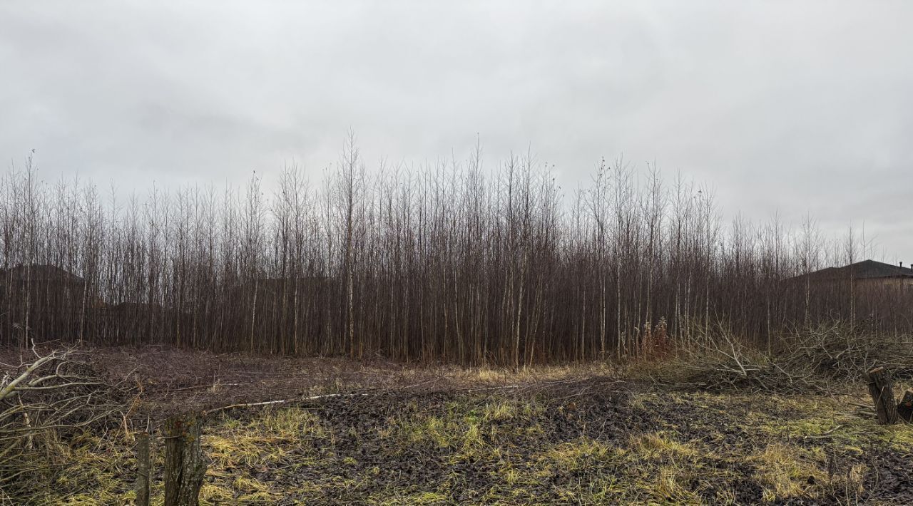 земля городской округ Пушкинский д Алёшино Алешинские Просторы кп, 74 фото 5