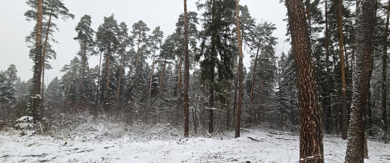 земля городской округ Раменский с Речицы Лесная улица фото 5