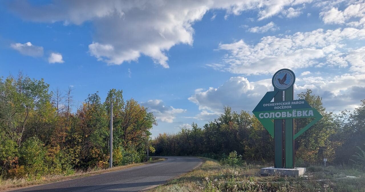 дом р-н Оренбургский п Соловьевка ул Родниковая Соловьёвский сельсовет, Подгородняя Покровка фото 21