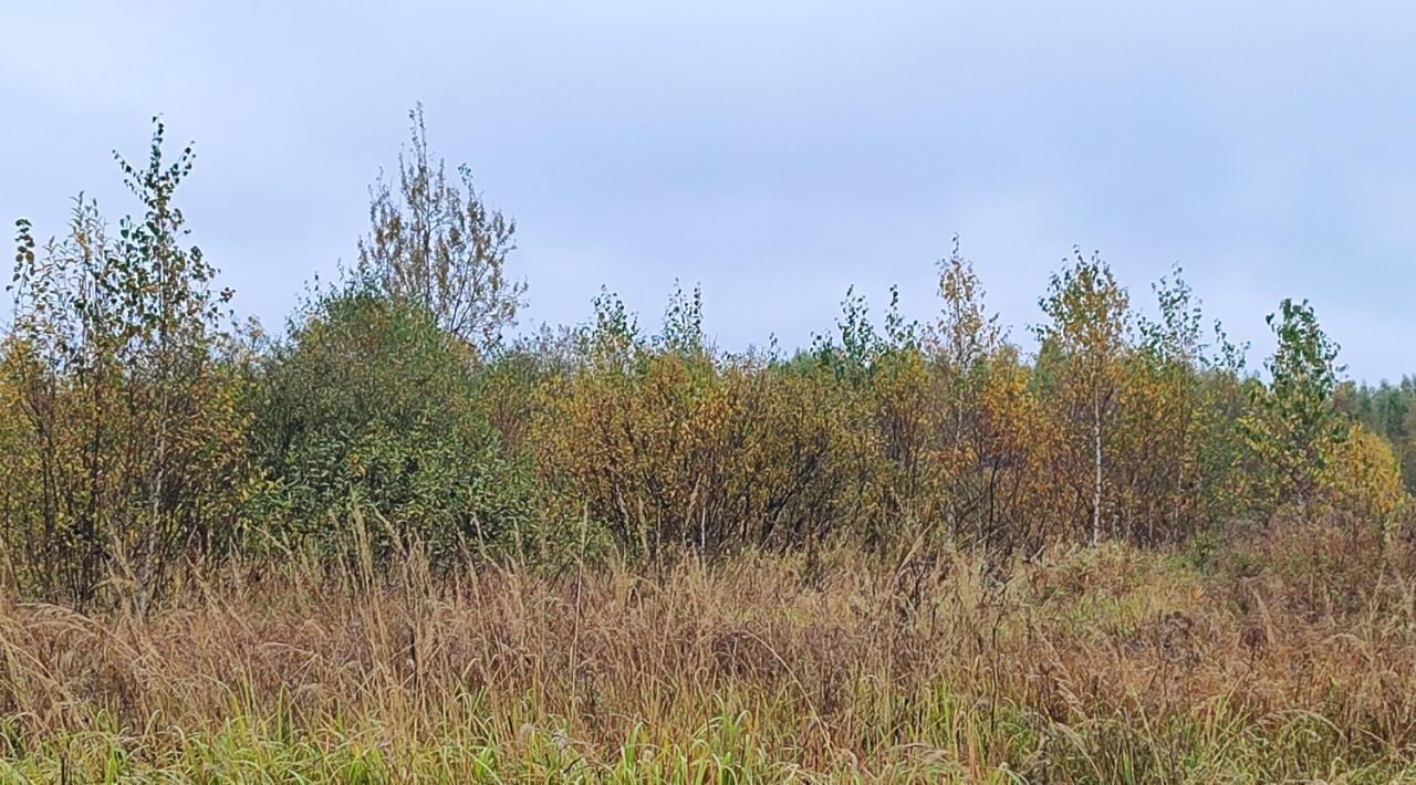 офис городской округ Раменский д Володино фото 1